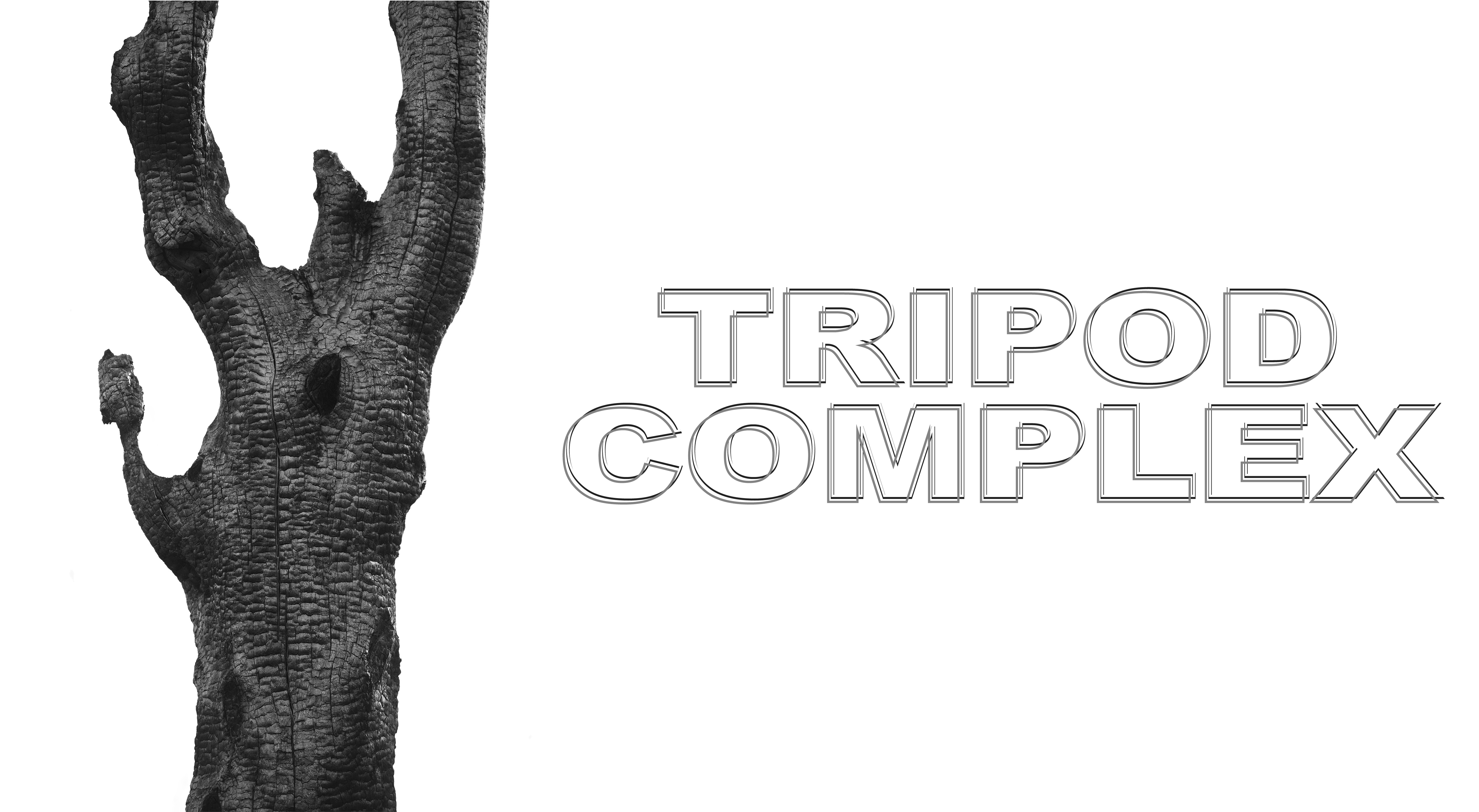 tripod_complex_for_web